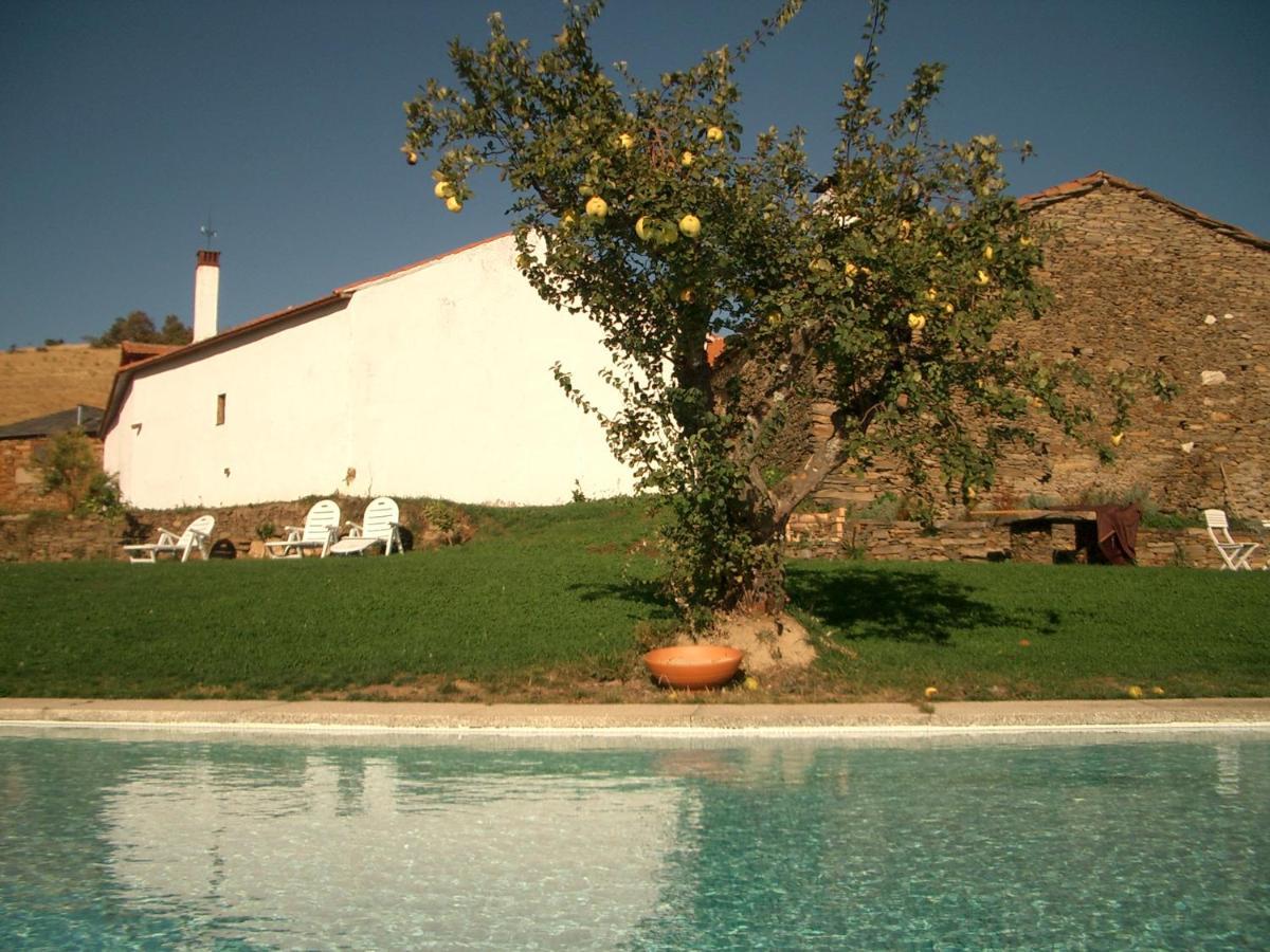 Quinta Da Alagoa Villa Santa Maria de Emeres Bagian luar foto