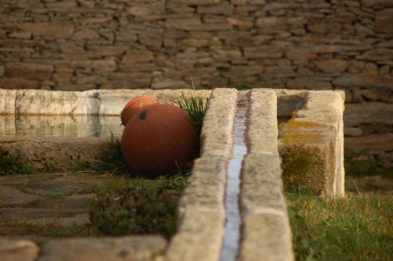 Quinta Da Alagoa Villa Santa Maria de Emeres Bagian luar foto