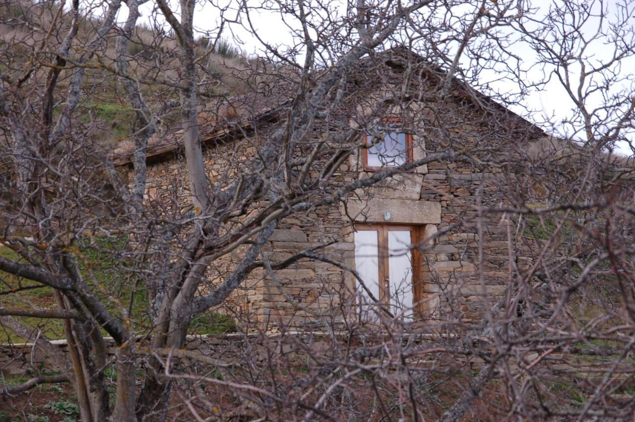 Quinta Da Alagoa Villa Santa Maria de Emeres Bagian luar foto