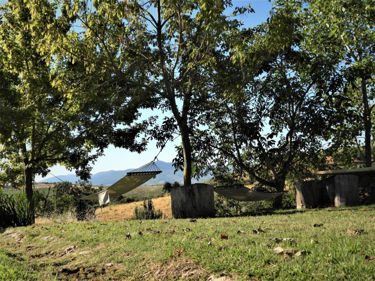 Quinta Da Alagoa Villa Santa Maria de Emeres Bagian luar foto