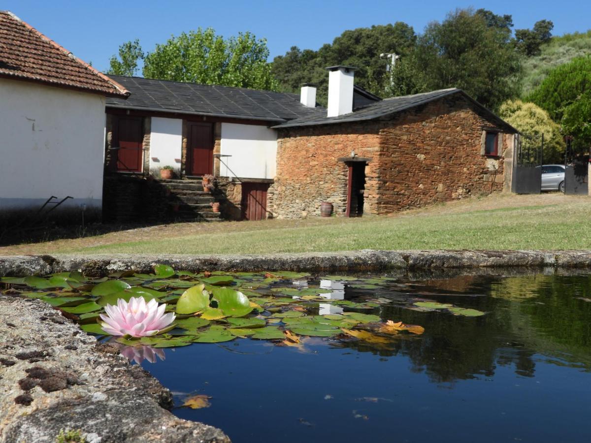 Quinta Da Alagoa Villa Santa Maria de Emeres Bagian luar foto