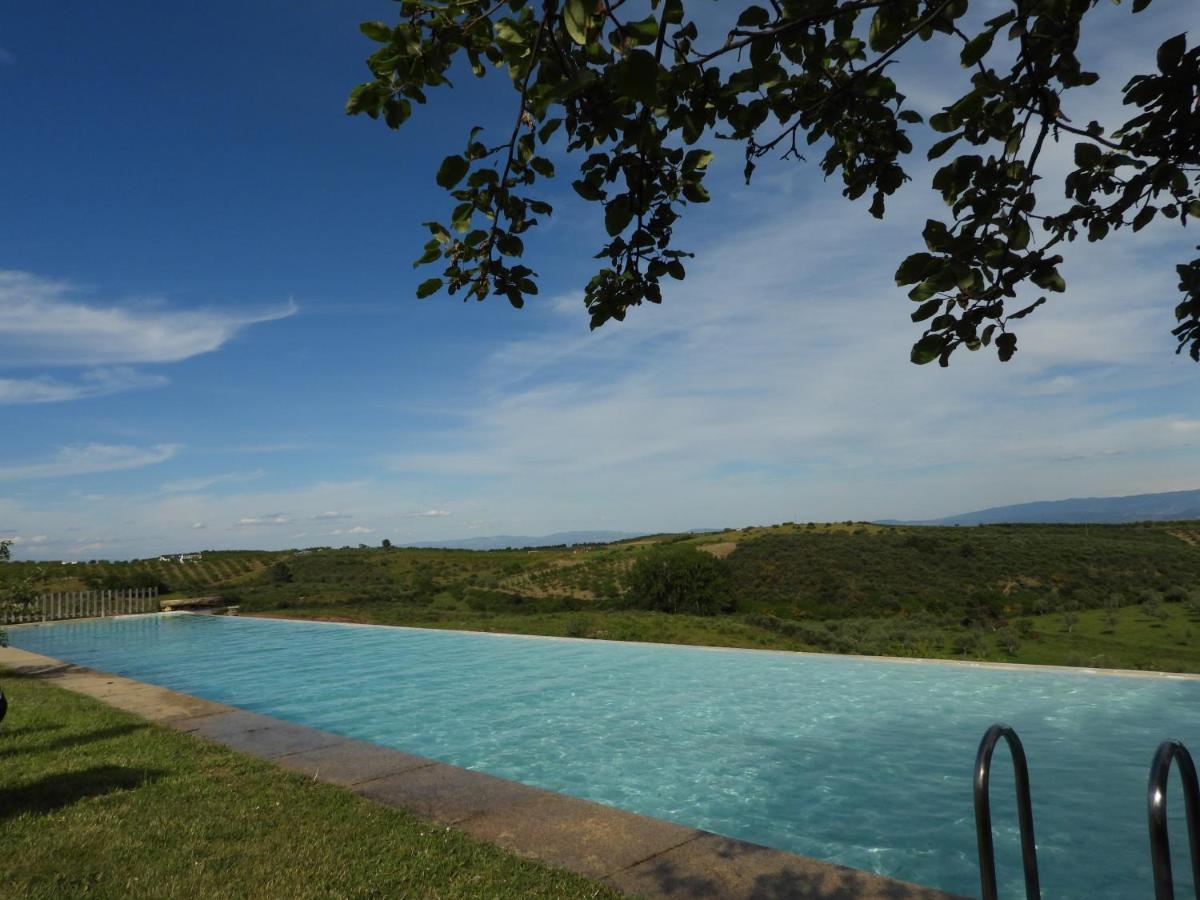 Quinta Da Alagoa Villa Santa Maria de Emeres Bagian luar foto