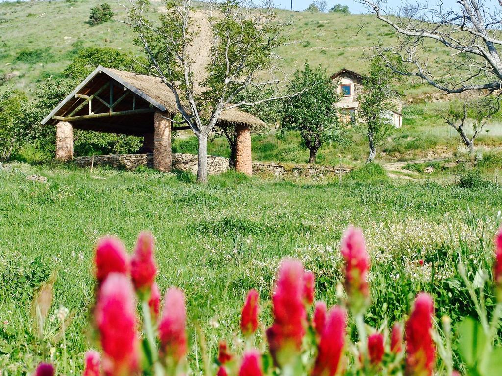 Quinta Da Alagoa Villa Santa Maria de Emeres Bagian luar foto