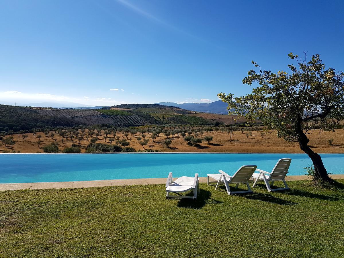 Quinta Da Alagoa Villa Santa Maria de Emeres Bagian luar foto