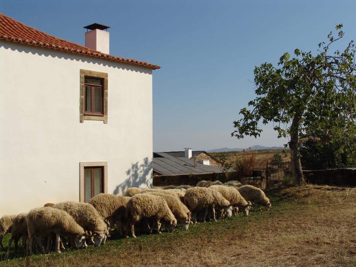 Quinta Da Alagoa Villa Santa Maria de Emeres Bagian luar foto