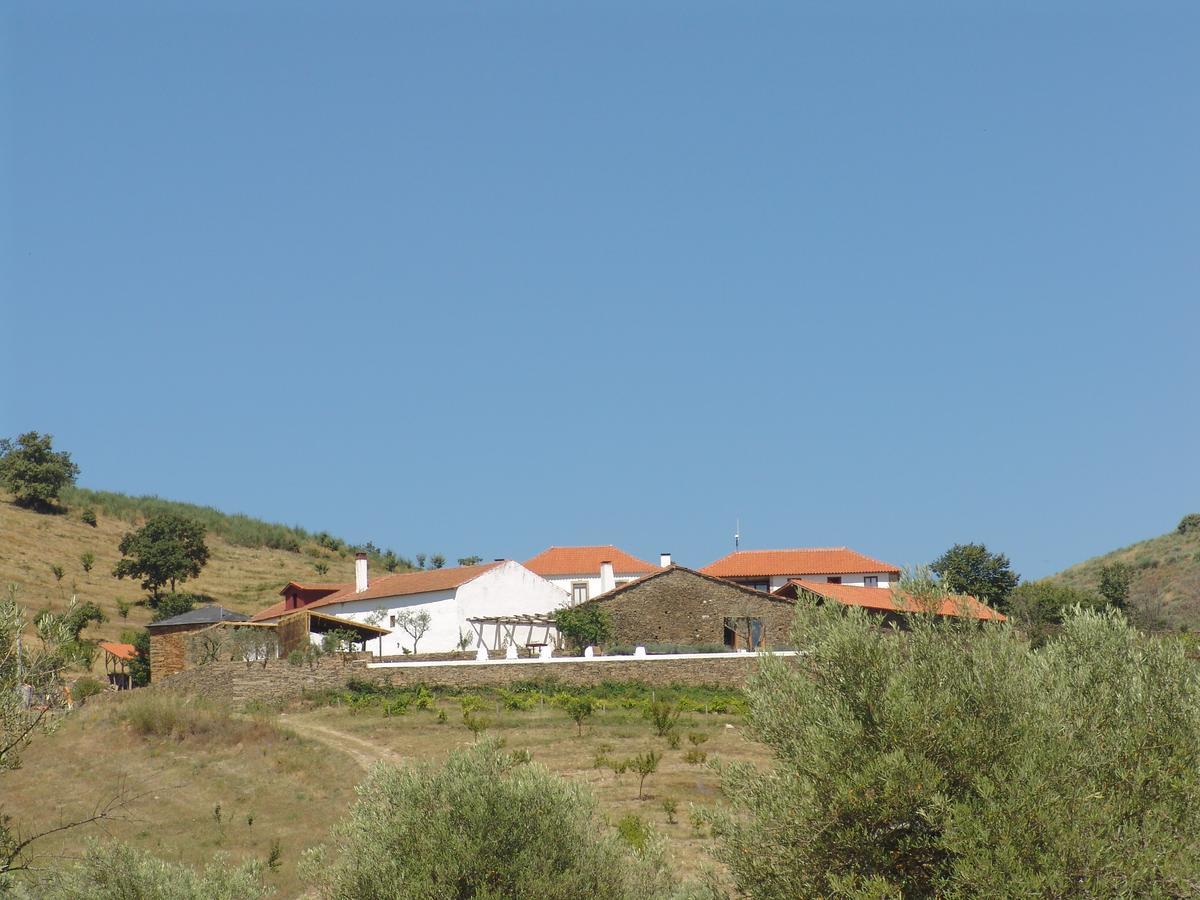 Quinta Da Alagoa Villa Santa Maria de Emeres Bagian luar foto