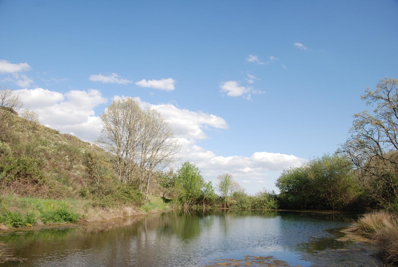 Quinta Da Alagoa Villa Santa Maria de Emeres Bagian luar foto