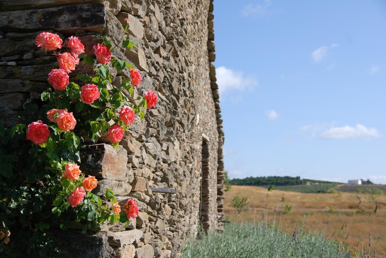 Quinta Da Alagoa Villa Santa Maria de Emeres Bagian luar foto