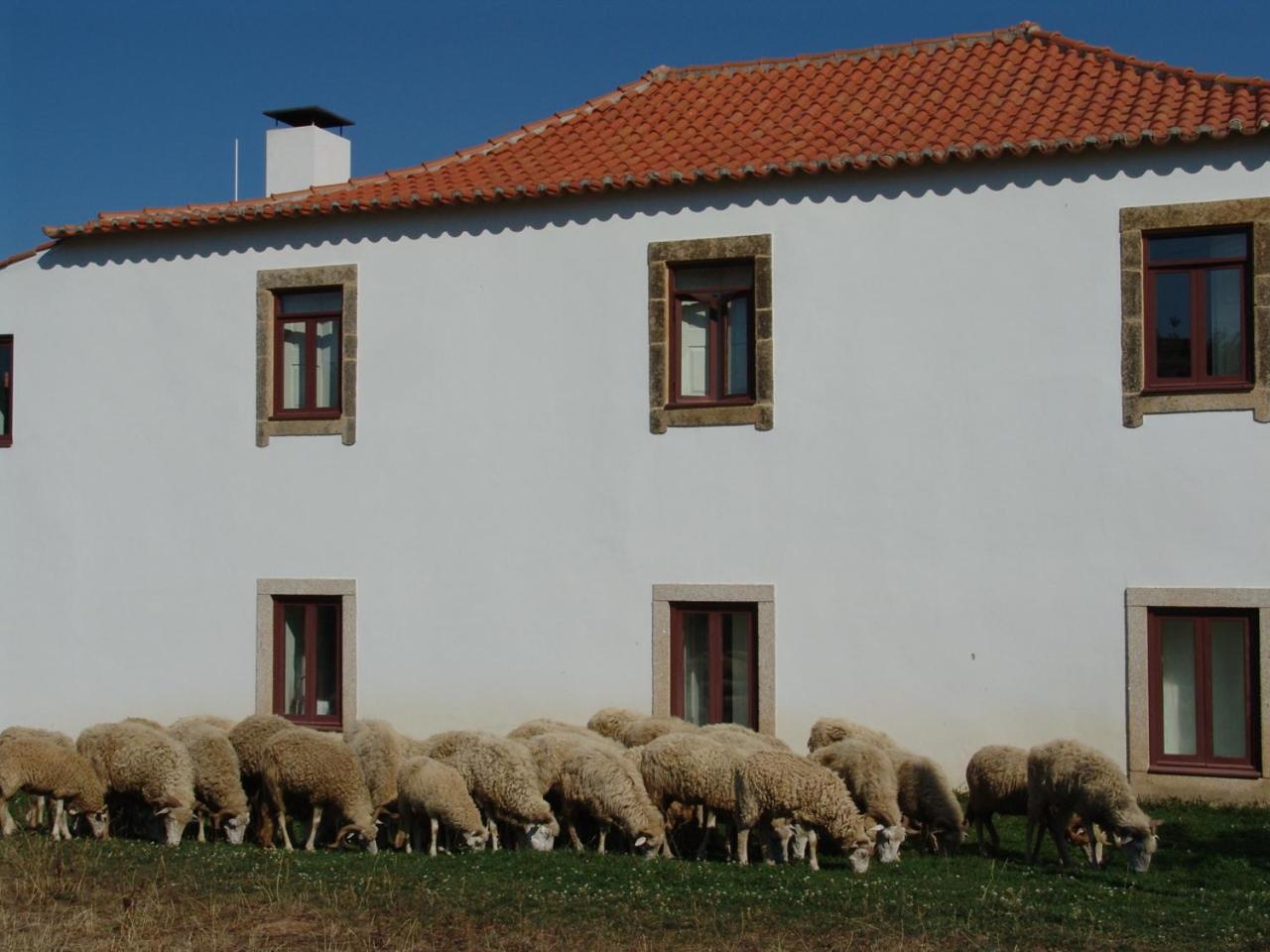 Quinta Da Alagoa Villa Santa Maria de Emeres Bagian luar foto